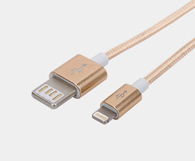 Patent Reversible USB - Patent USB 2.0 Reversible AM to Lightning IP8 cable